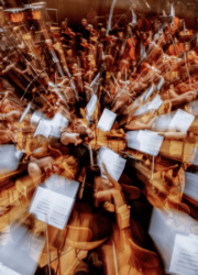 Aktuelles_1600x800